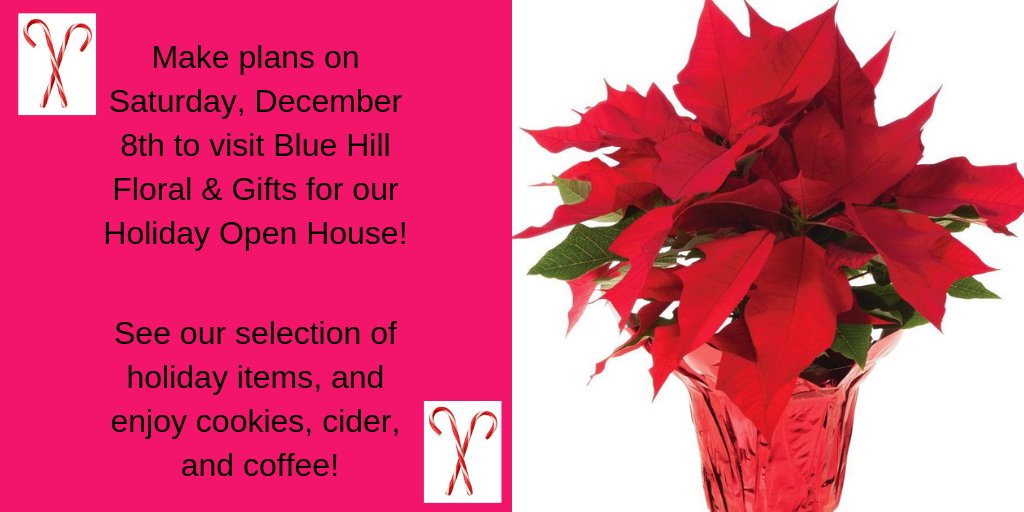 December 8th is our Holiday Open House! Come stop in at #BlueHillFloral and see our new selection of holiday items! #FlowersForAllOccasions #UNOSocialMediaClass