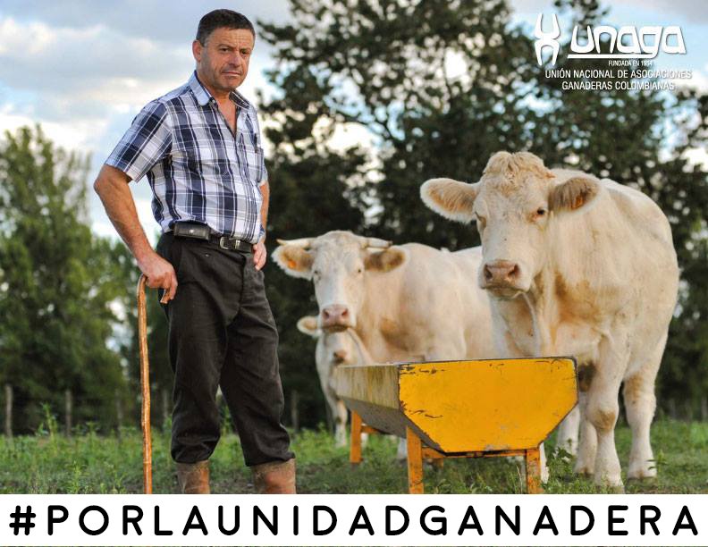 Unaga Página Oficial tweet media