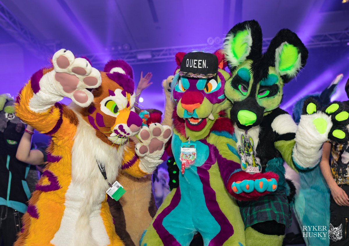 RykerHusky's tweet photo. Take us back to those nights where we felt alive,
Where we lost ourselves to the arms of the crowd,
Losing ourselves to the the beats.

Happy #FursuitFriday !

The final countdown to #MFF2019 is real.  Less than 5 days till the party starts! https://t.co/nDHgMUcf4l