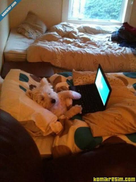 #SaldırGALATASARAY var odası😡😡