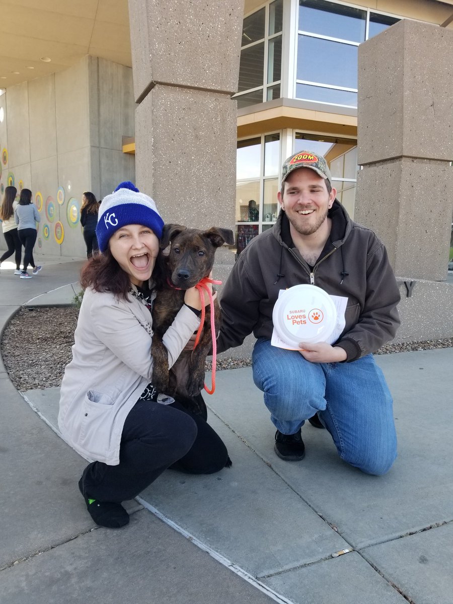 kshumanesociety's tweet photo. Look at this happy pup going home! The Share the Love Black Friday adoption event is happening now at Kansas Humane Society! @ridehomehappy @ASPCA #ShareTheLove #aspcaSTL https://t.co/IvOhXAUk8L