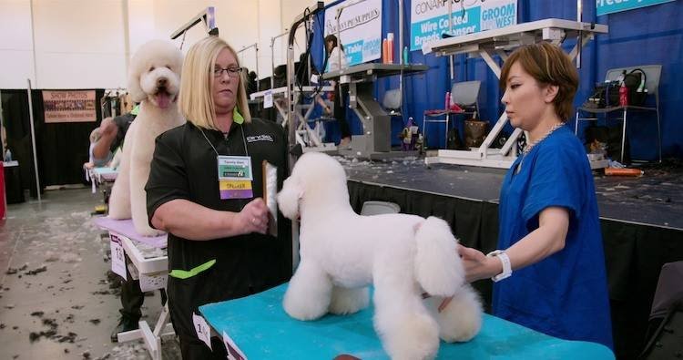 JulianaFree2BMe's tweet photo. Time to watch episode 4
Title: Scissors Down
#NetflixOriginal #Dogs #NetflixDogs #Documentariesseries #ScissorsDown https://t.co/Lz5ZAqZZSh