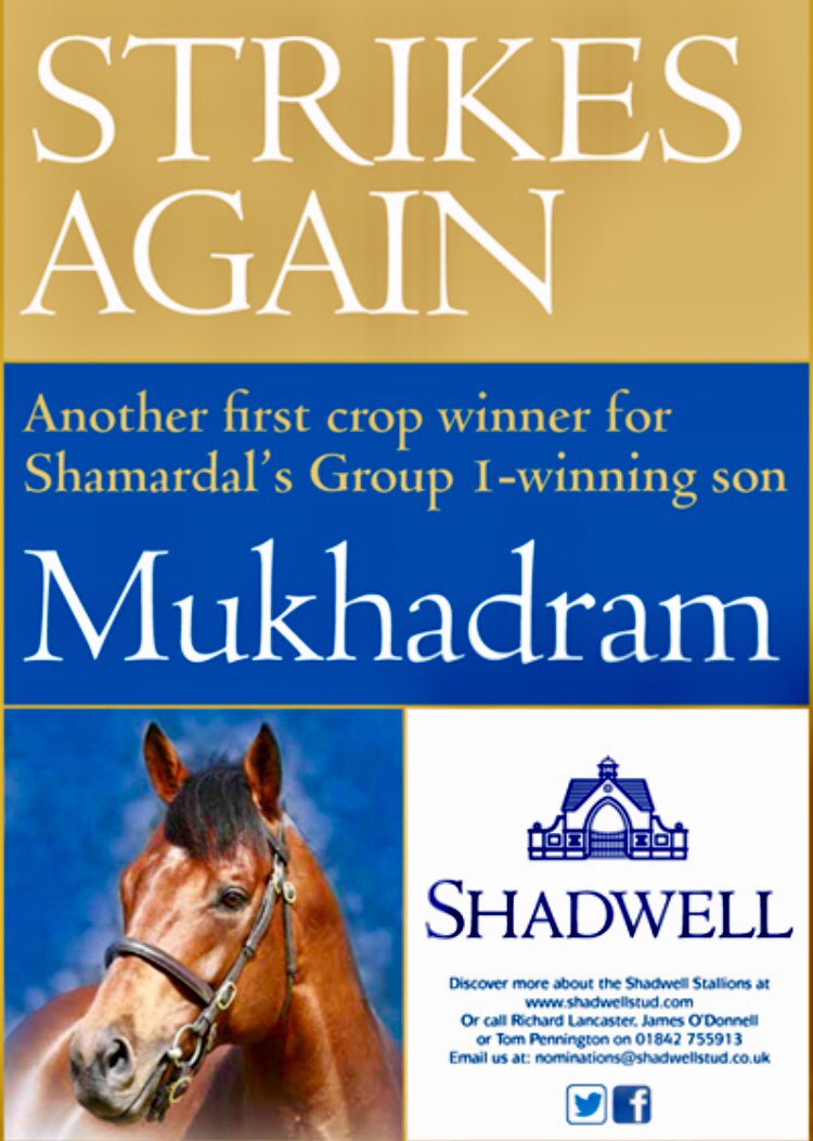 Shadwell_EU's tweet photo. Winner number 12 for #MUKHADRAM as the @crisfordracing trained EDEN GARDENS wins impressively @kemptonparkrace. Don’t miss his foals @Tattersalls1766 next week #first2yos https://t.co/nqJsrfaicd