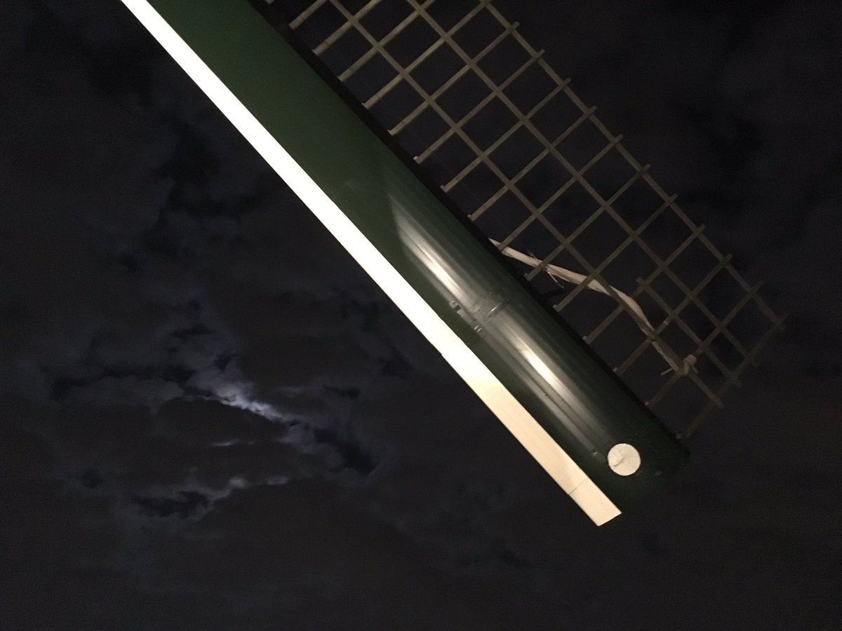 Na minstens een jaar niet meer aan de vang te hebben gestaan, zette ik vanavond <a href="/molendevrijheid/">molen De Vrijheid Schiedam</a> moeiteloos stil. Wat is ze toch mooi! #Schiedam #trots