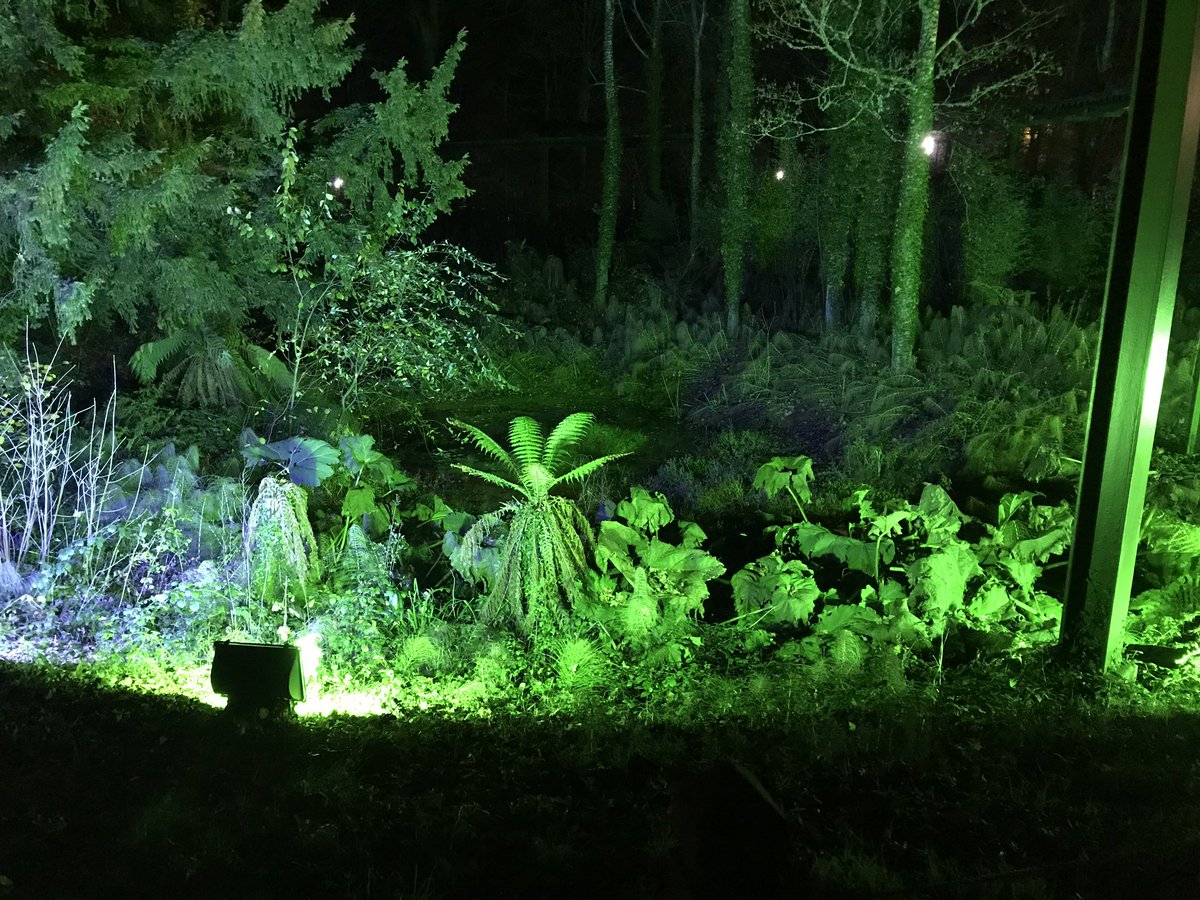 nigeb20's tweet photo. Enjoying the opening event of the @Beaulieu_Hants lights. Thanks for the invite to allow @safferys to join in. https://t.co/2RiPzOkUyk