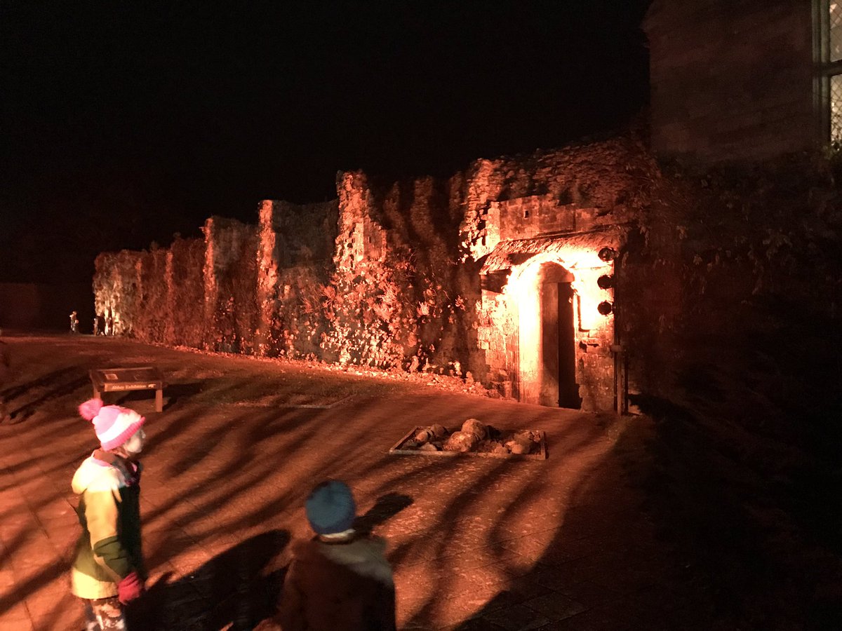 nigeb20's tweet photo. Enjoying the opening event of the @Beaulieu_Hants lights. Thanks for the invite to allow @safferys to join in. https://t.co/2RiPzOkUyk