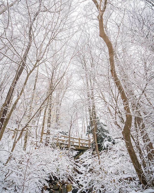 Milwaukee County Parks tweet media