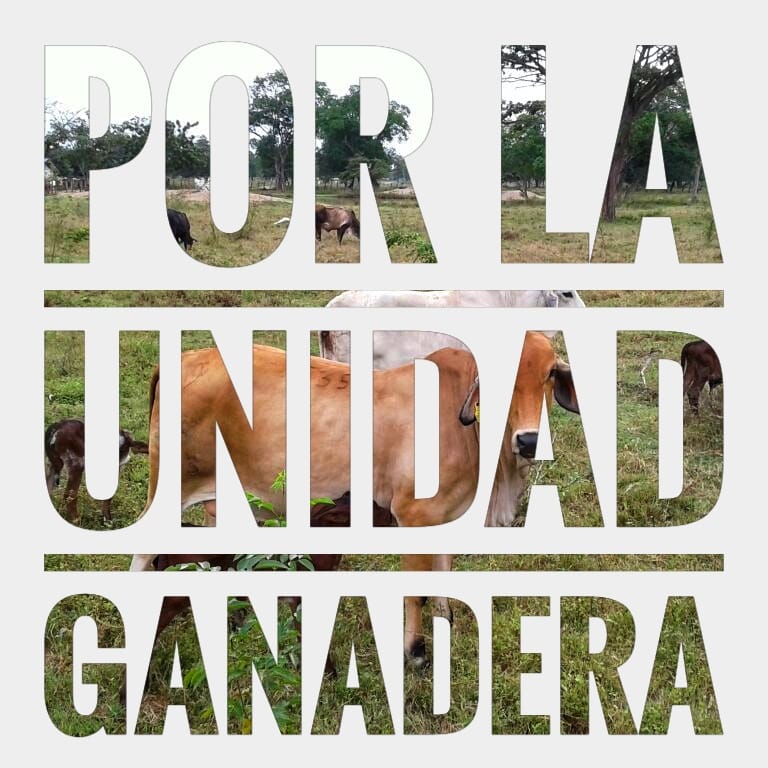 Unaga Página Oficial tweet media