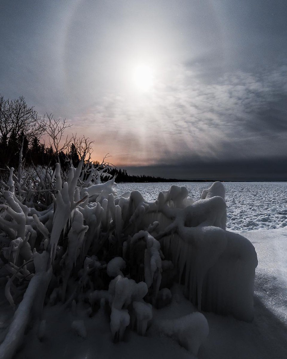 Travel Manitoba tweet media