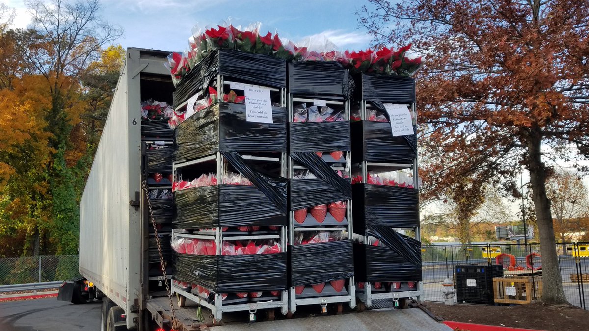 pauld_PBF's tweet photo. .99 cent Poinsetias delivered, displayed, shopped, then Black Friday gone... @PBFmedia @freddyplants @JohnTuten2 @anavarro52069 #BlackFridayDelivered #BlackFridayDisplayed #BlackFridayShopped #BlackFridayGone https://t.co/F9EfF4NVkx