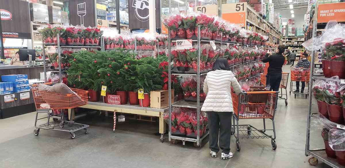 pauld_PBF's tweet photo. .99 cent Poinsetias delivered, displayed, shopped, then Black Friday gone... @PBFmedia @freddyplants @JohnTuten2 @anavarro52069 #BlackFridayDelivered #BlackFridayDisplayed #BlackFridayShopped #BlackFridayGone https://t.co/F9EfF4NVkx