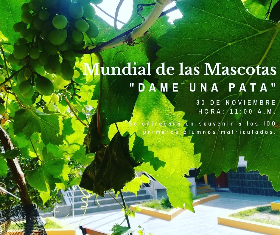 IEAElPorvenir's tweet image. En breve tendremos el Mundial de las Mascotas #DameUnaPata y momento preciso para celebrar con nuestros 100 primeros estudiantes matriculados para el 2019 y aún #LoMejorEstáPORVENIR #MasQueEnseñanza @EAsudamerica