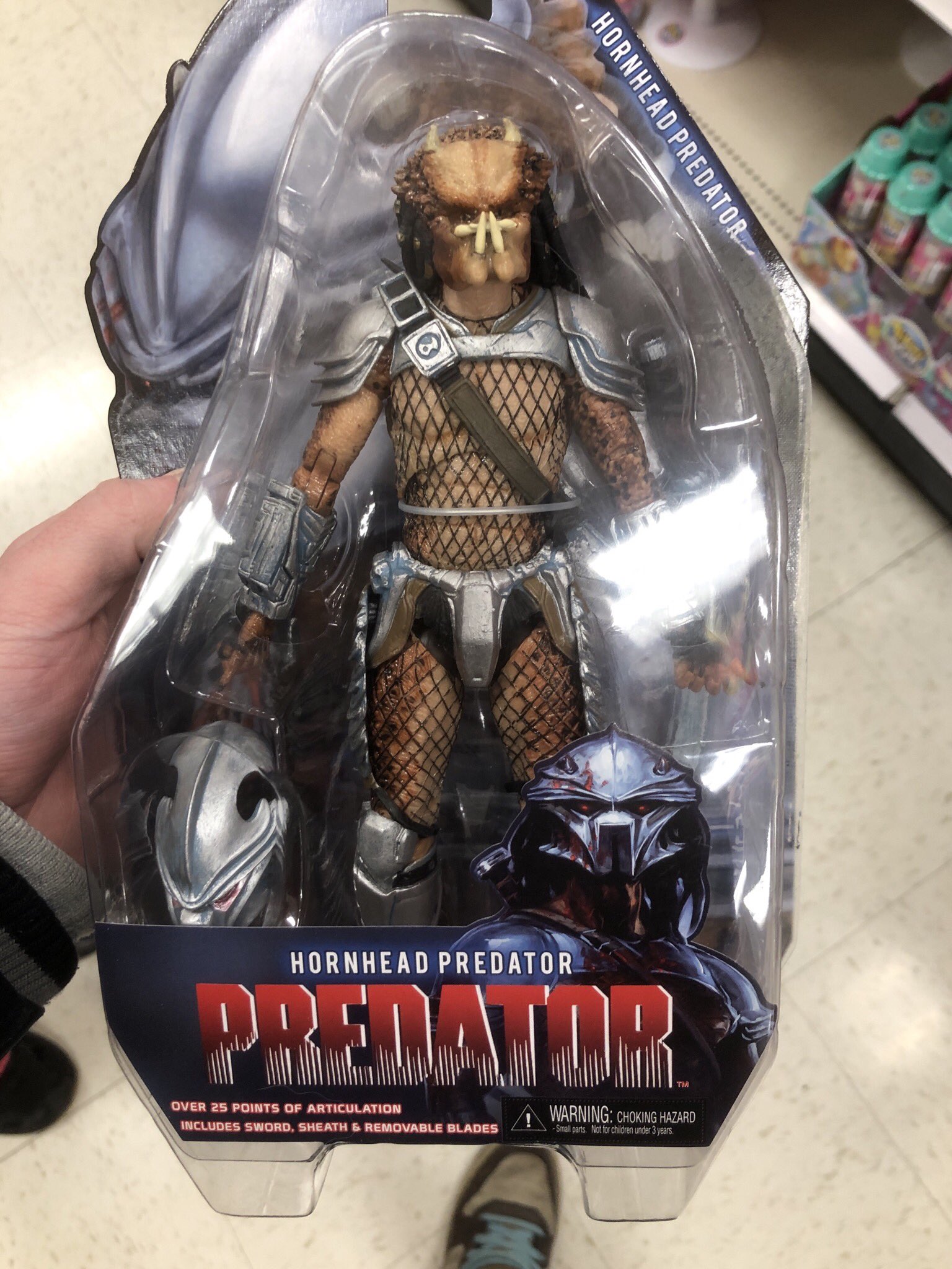 hornhead predator