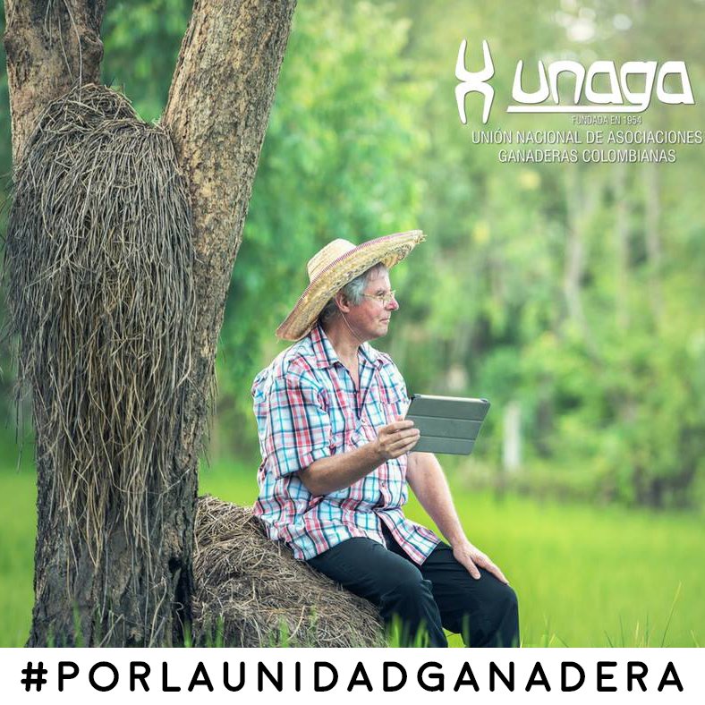 Unaga Página Oficial tweet media