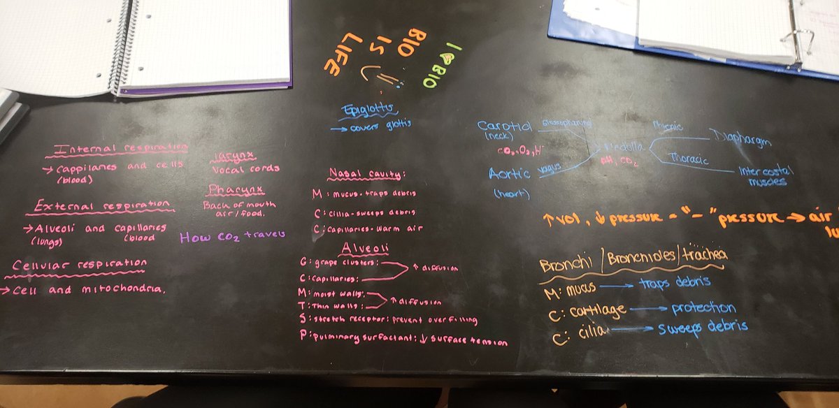 Scott Harkness tweet media