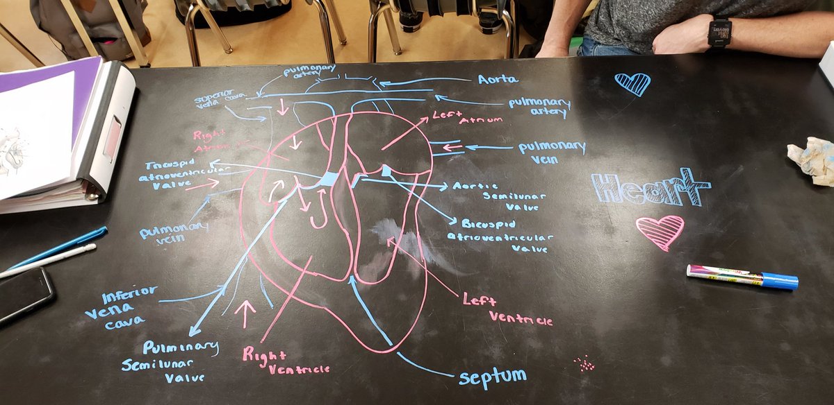 Scott Harkness tweet media