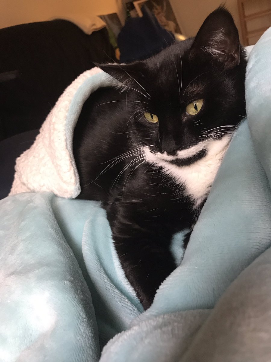 All cuddled up for warmth ❤️