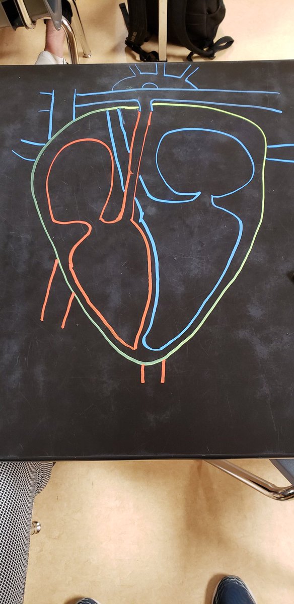 Scott Harkness tweet media