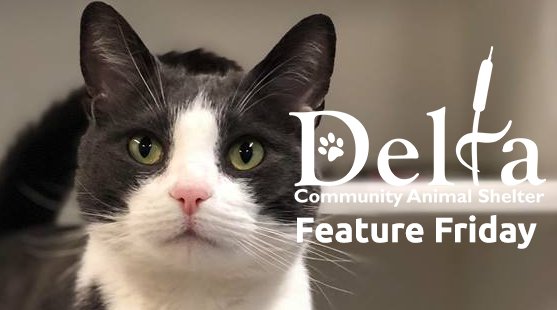 City of Delta tweet media