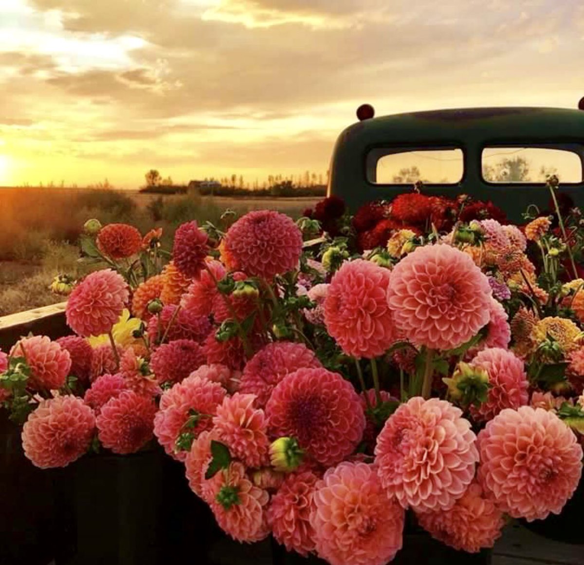 What to do on a #BlackFriday? Relax, watch a #sunset ,put your feet up, and enjoy the view #lifeisbeautiful #travel #holidays #thisiswhyweroam #rvlife <a href="/RoamingTimes/">Roaming Times RV🏞️</a> <a href="/rvarizona/">RV Arizona🏞️</a>