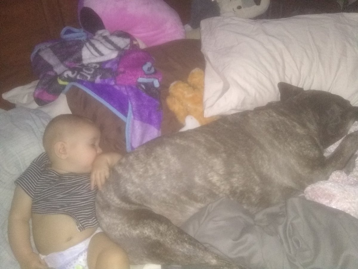 #PITBULLS #babies