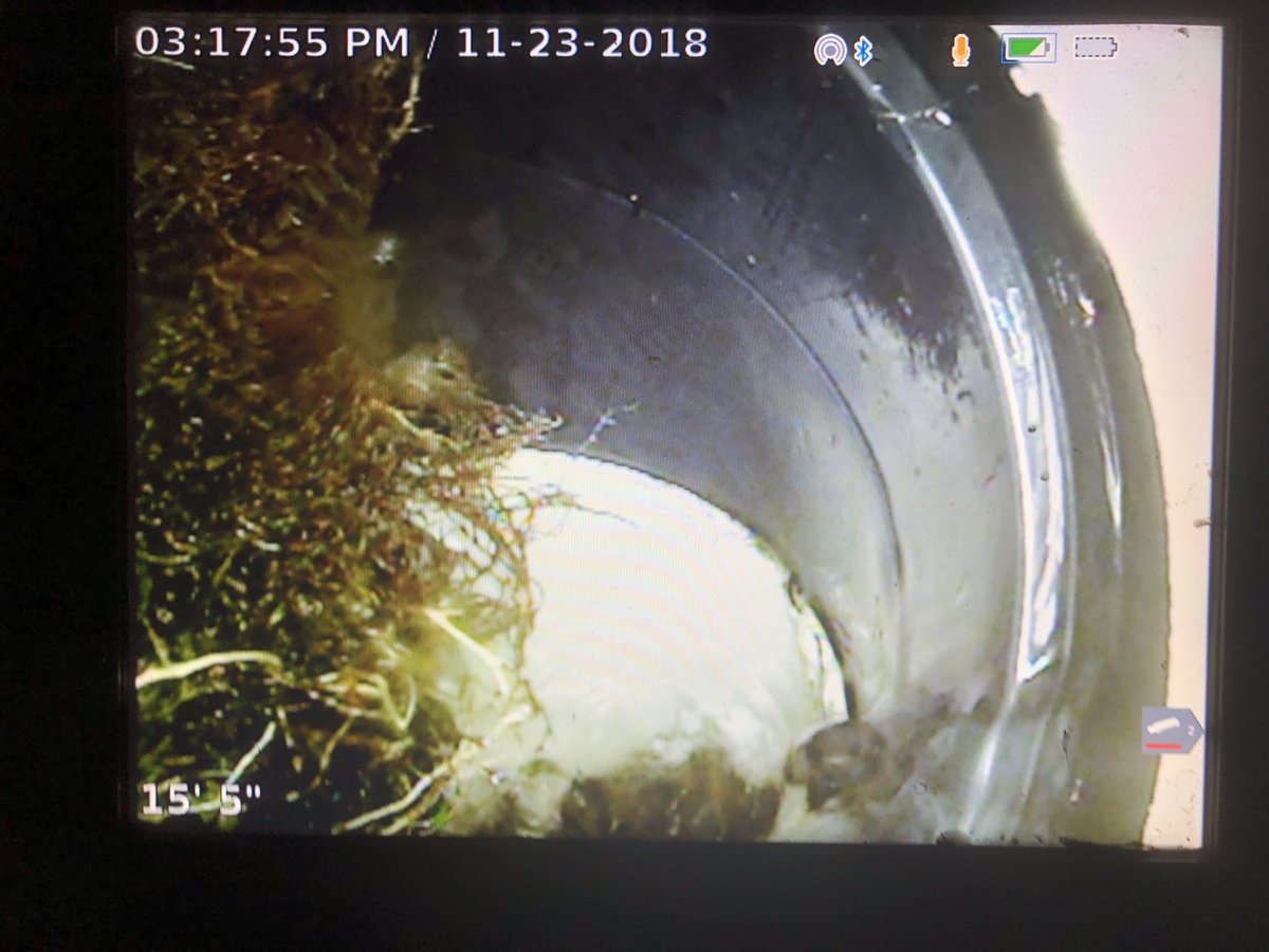 DigItExcavating's tweet photo. Chain cutter cleaning out the roots! ✅👷🏻♂️ #digginit #digitexcavating vating vactor2100 #jetting #chaincutter #sewerline https://t.co/6thkW3IVhB