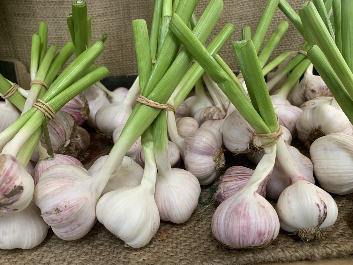 #certified #organic fresh garlic in stores from Ingelera farm. #cbr #canberra
