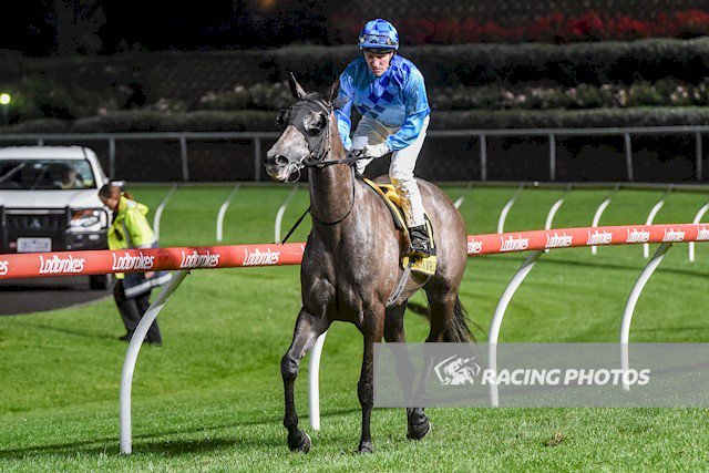 mcevoymitchell's tweet image. The MMR-trained Shrouded In Mist might well have been the omen tip at Moonee Valley on Friday Night. #lasttofirst #mistynight
Full article here: bit.ly/2FDPWLg