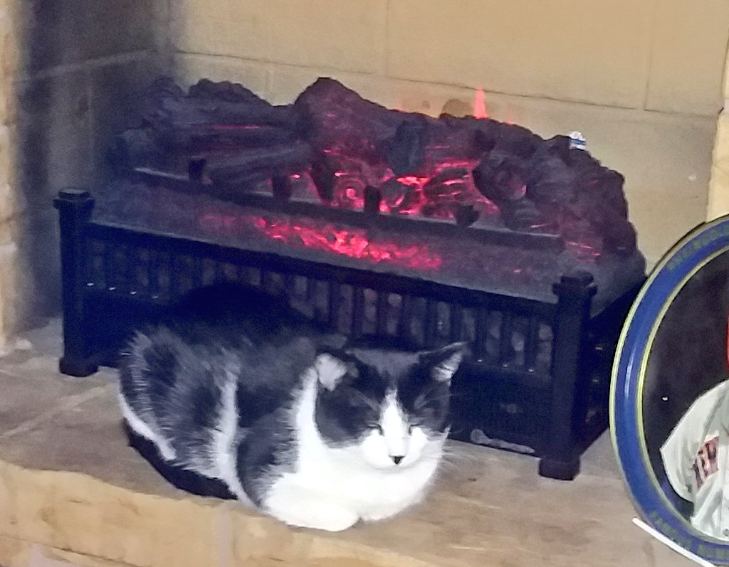 Mark Cramer tweet media