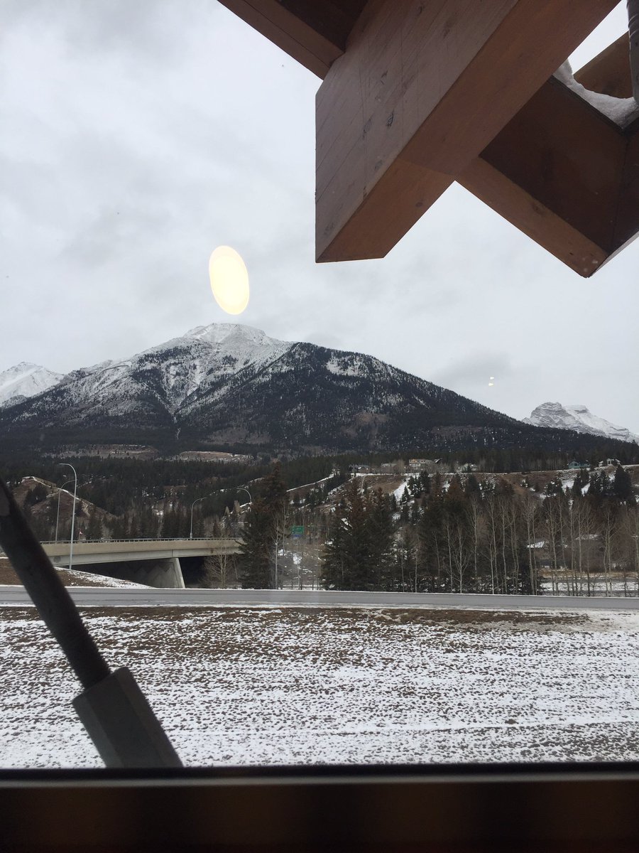YEGbeergirl's tweet photo. View from one of the stalls in the ladies room @TheGrizzlyPaw #Tank310 
#ABBestBathroom https://t.co/olUzS6JDjW