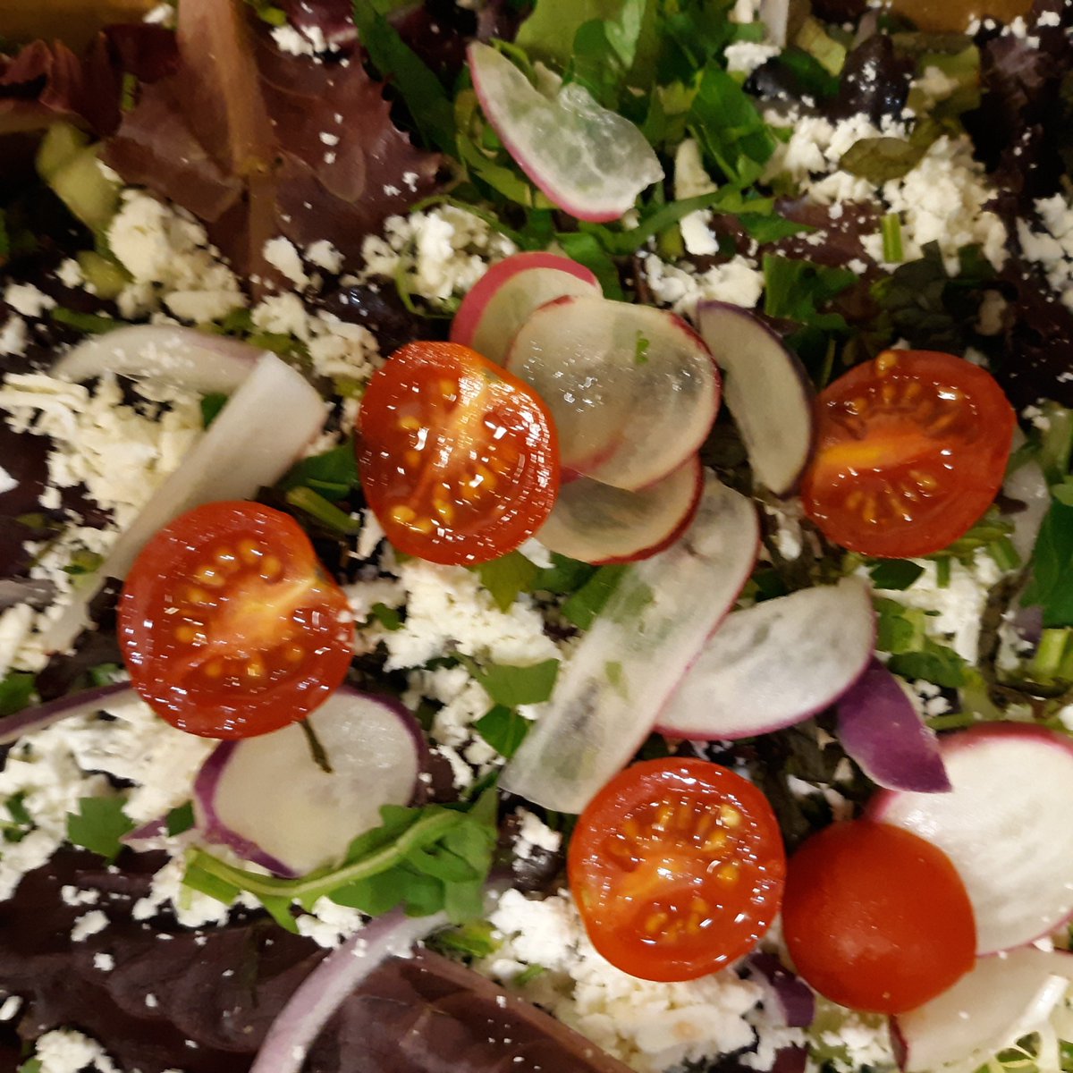 JulesThinCrustW's tweet photo. Romaine-free salads during the E. coli outbreak in California--Jules Med (pictured), Kale Quinoa, Kale Goat Cheese Brussel Sprouts, Apple Pecan . . . Jules will bring back Caesar and Asian Chicken salads when it's safe.  No Vegie One pizza meanwhile either, the Greek salad pizza. https://t.co/tH2XVHIecS