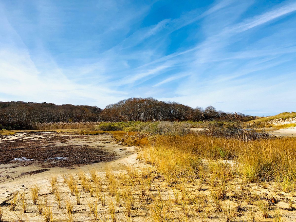 TheMindfulCEO's tweet photo. Martha’s Vineyard https://t.co/uuQ4OPUkRF