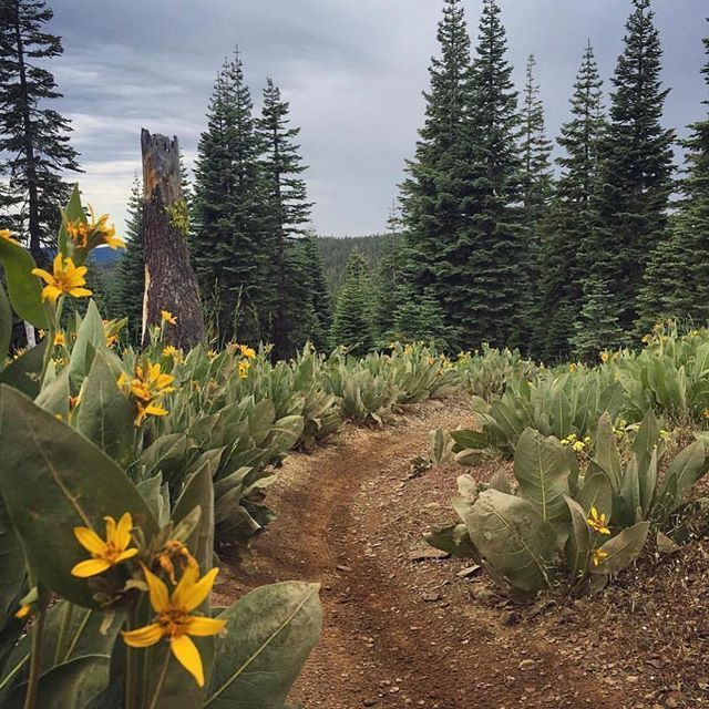 Time to burn turns and all those holiday calories ! Who’s got the shreddiest riding conditions right now??? #acresupply #missionworkshop // ift.tt/2qY2wea