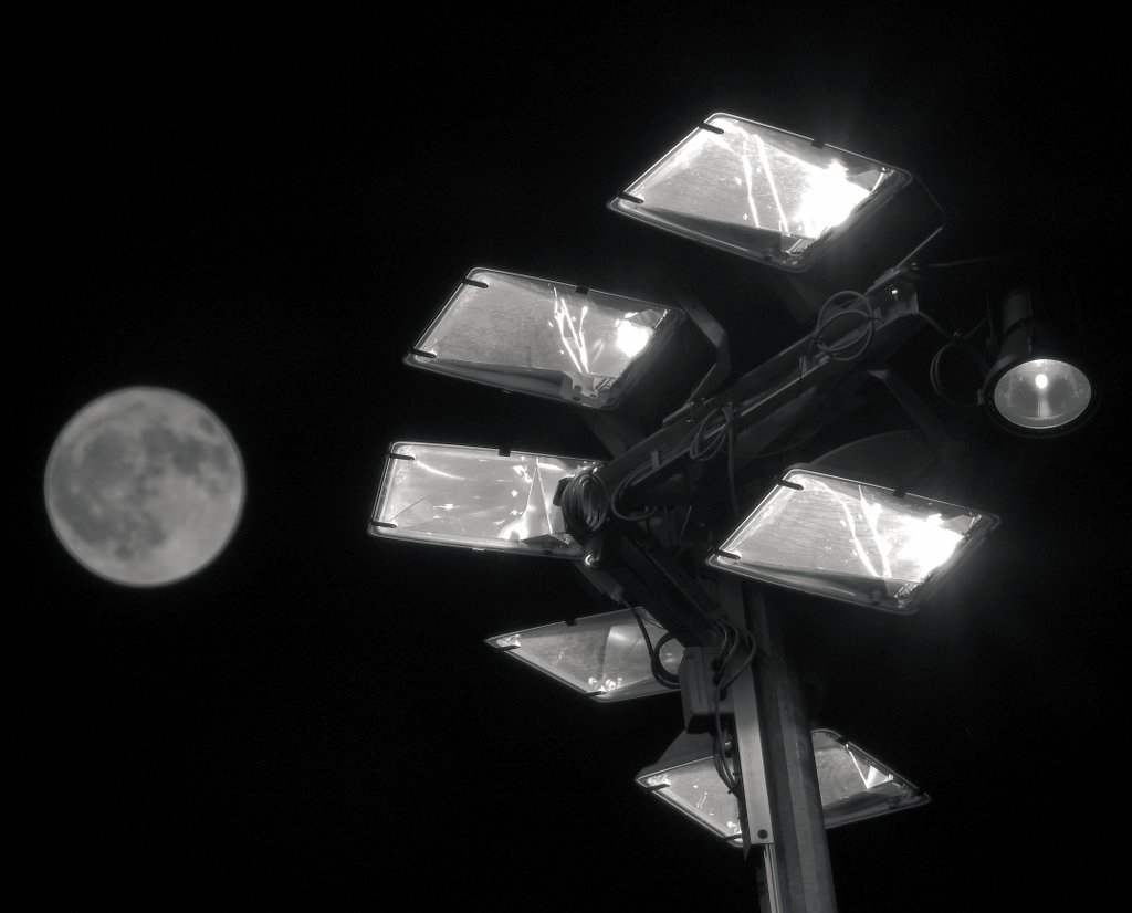 Yanick_8's tweet image. 5/7 black and white photos of your life. No people. No explanations. Challenge someone new every day. I was challenged by @tsubu_tann 
I nominate: @going_zero_inc 
お願いします🙏
#photography #PhotographyIsArt #bwchallenge #blackandwhite