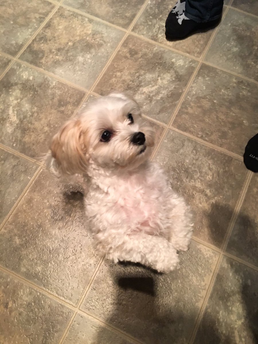 dog_brewer's tweet photo. Shout out to my best friend @Zac_Webster - can’t wait to see you again! https://t.co/kruP8vXlpq