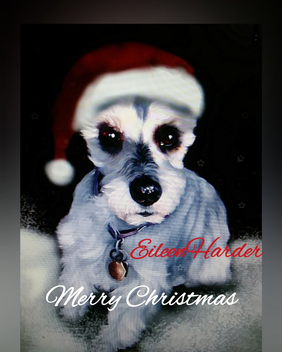 Runningdoe's tweet image. Working on Xmas card. This is an original oil painting of Izzy. Now photoshopping. Signature is temporary
#Xmas #XmasGifts #dogsofvancouver #Dogs #puppy #XmasMarket #etsy #etsysellers