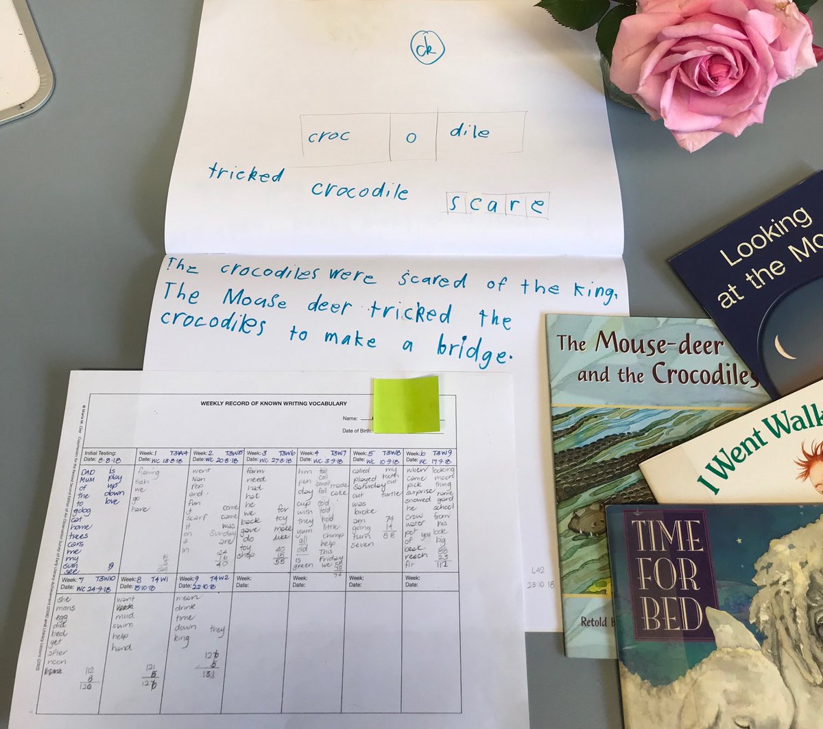A new book read each day, a variety of authors, publishers &amp; topics. New thoughts composed and written each day, building a writing vocabulary....Total lesson time here? =under a week at school... Cost?...how can we afford not to?  Reading Recovery is a powerful intervention💫
