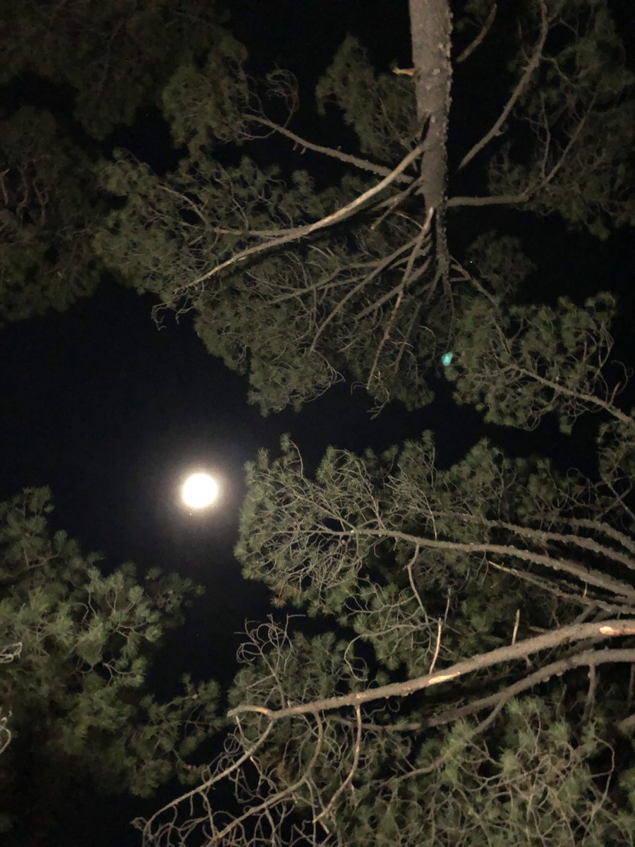 Manu Fernández tweet media