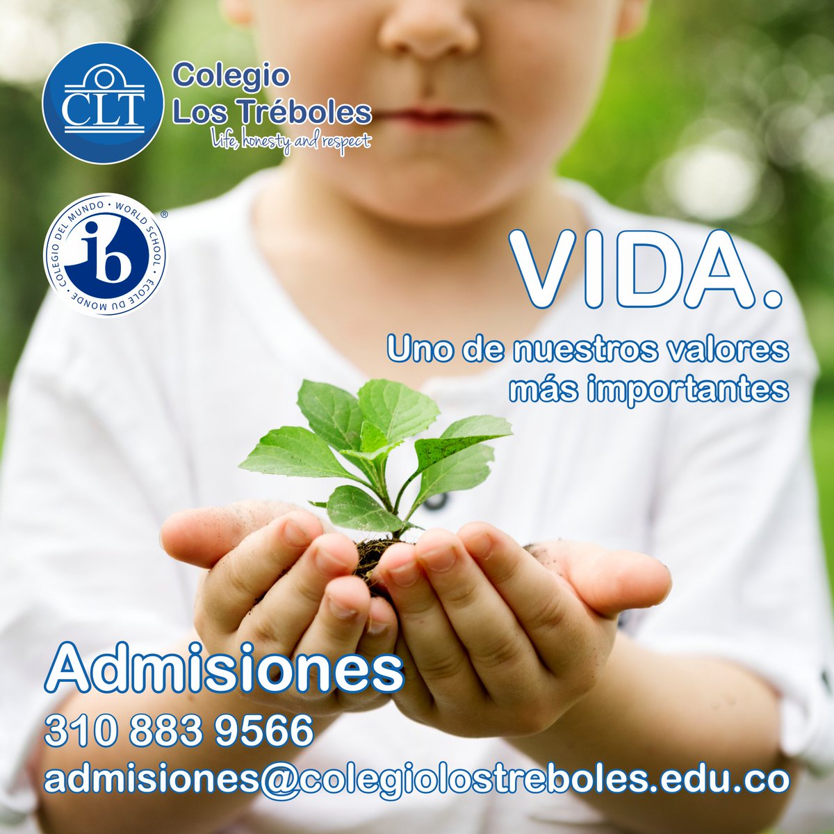 LosTrebolesCLT's tweet photo. Vida, Honestidad y Respeto. te invitamos a conocernos. #ColegiosBogota #EducacionMusical #CalendarioB #CLT #Matriculas #AdmisionEscolar #IB #arte #Ilovetreboles #EducaciónConValores #ColegioLosTréboles https://t.co/ojK5RTiCxc