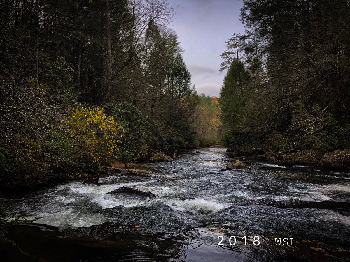 lewis_stan's tweet photo. Chestatee River #photography #outdoorphotography #waterscape #river #troutfishing #troutstreams https://t.co/VAWsQdv9Pn