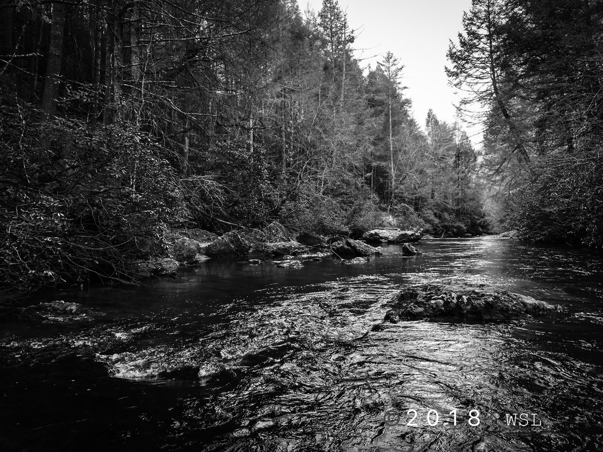 lewis_stan's tweet photo. Chestatee River #photography #outdoorphotography #waterscape #river #troutfishing #troutstreams #blackandwhitephotography https://t.co/fjUuaV45K6