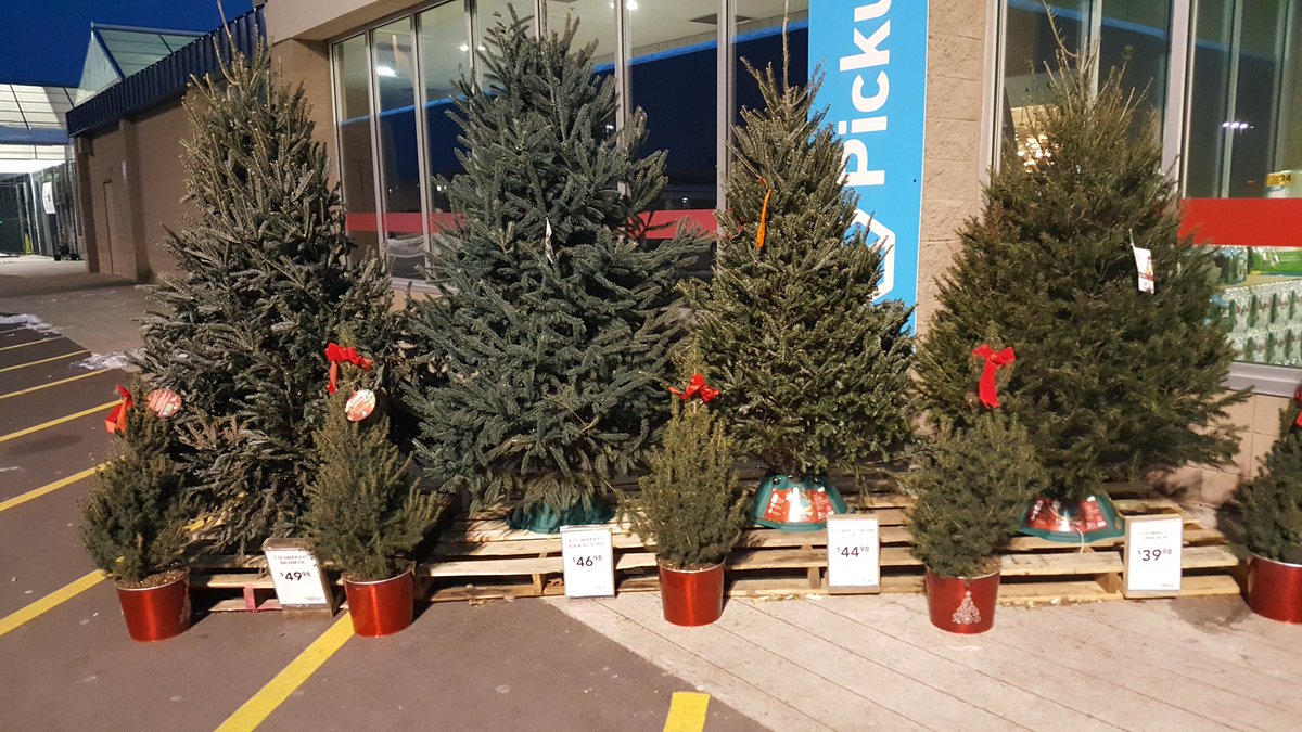 lowes_westhazle's tweet photo. Tis the season! Bring your family and meet ours. Fresh 🌲 and great priced 🎁. Take a photo and share it on our page. #Lowes #SANTAiscoming #BlackFriday #Christmas #Christmasgifts #family #ChristmasCountdown #christmasdecorations https://t.co/46IwD7vshd