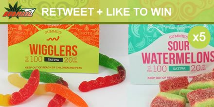 therealbudmail's tweet photo. This week's #BudmailFriday giveaway - 5 x Mota Medicated Gummies: https://t.co/odw0SBgMYT … ReTweet+Like to #WIN. Draw every #BudmailFriday https://t.co/yhYZuM3nvv