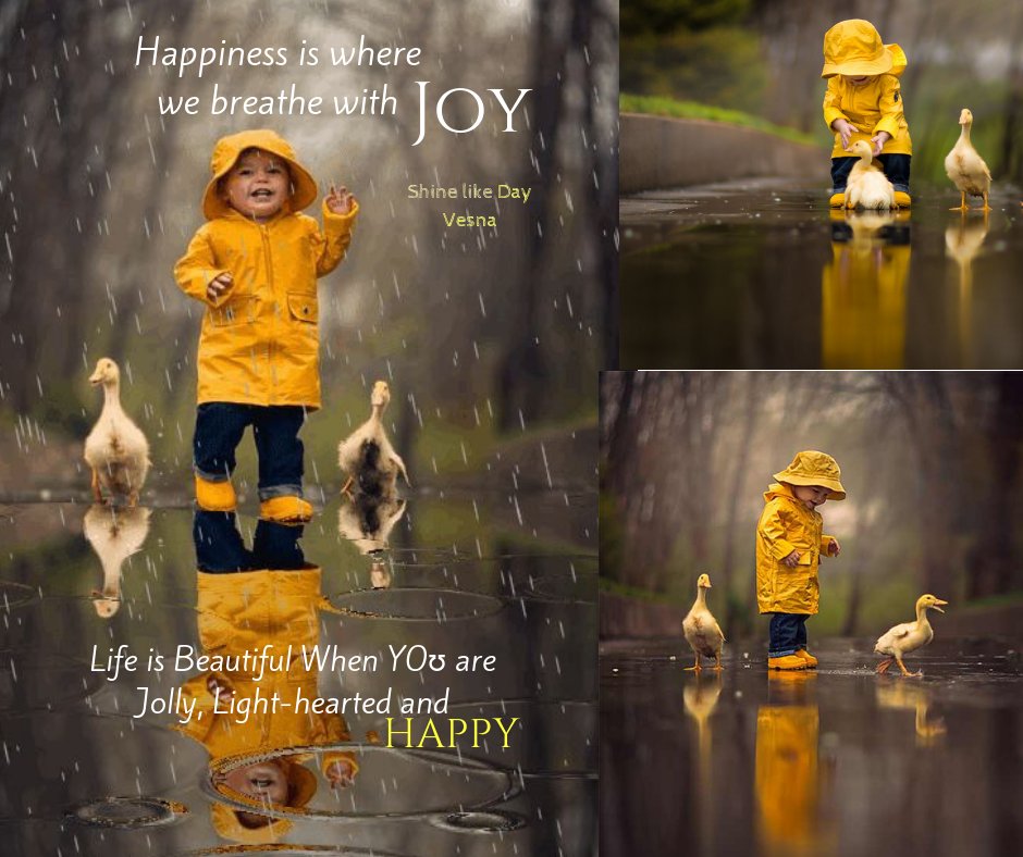 brightnewvensa tweet picture