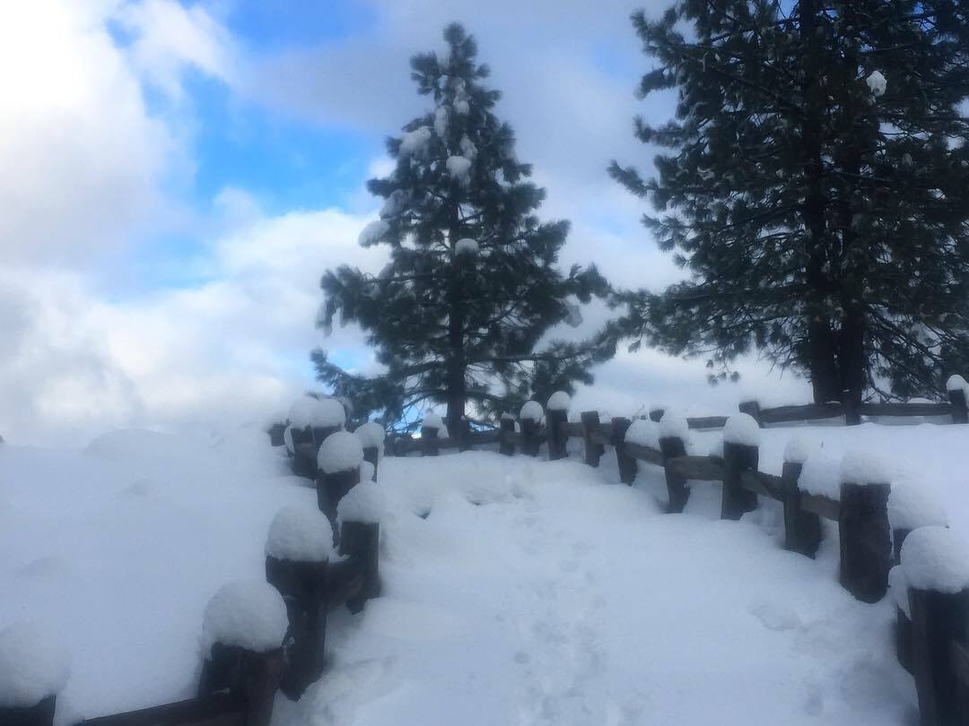 YosemiteNPS's tweet image. Yosemite weather can vary substantially by elevation. The Thanksgiving Day storm decorated Glacier Point and Half Dome with snow while falling as rain in Yosemite Valley.
(Glacier Point Road is closed due to conditions, but the hiking trails are still open.)