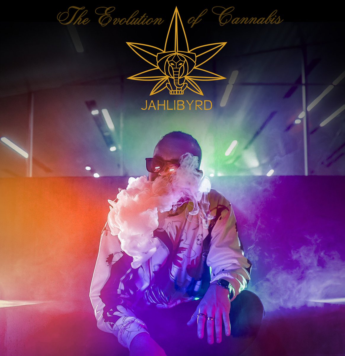 jahlibyrd's tweet photo. Rapture: "n. The transporting of a person from one place to another, especially to heaven." Experience the ethereal transportation of your mind to the next level. This strain is as loud as that bass! 🕶🔊💨
#cannabisculture #cannabiscommunity #hiphop #smoke #jahlibyrd #smokeweed https://t.co/0yxqNk97co