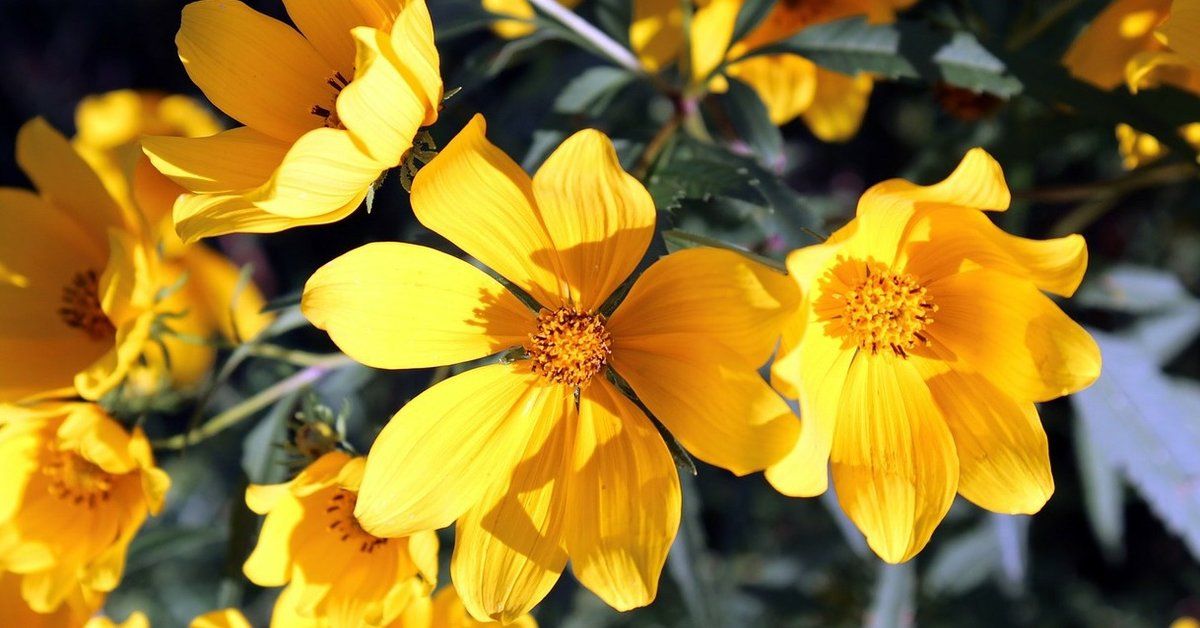 At this time of year things can get a little crazy buff.ly/2QYU9uz