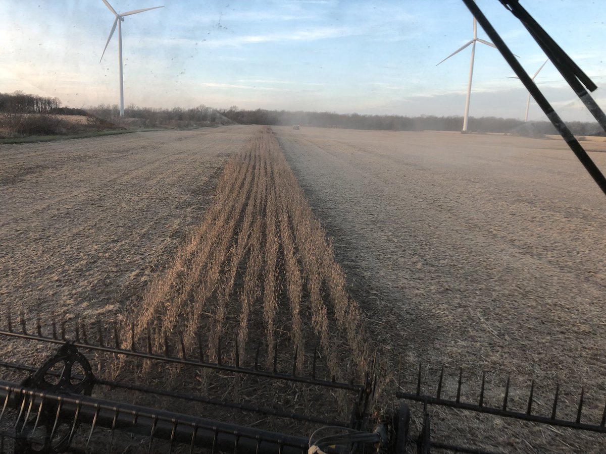That’s it for soybeans!! #notbadforbeingplantedinjuly