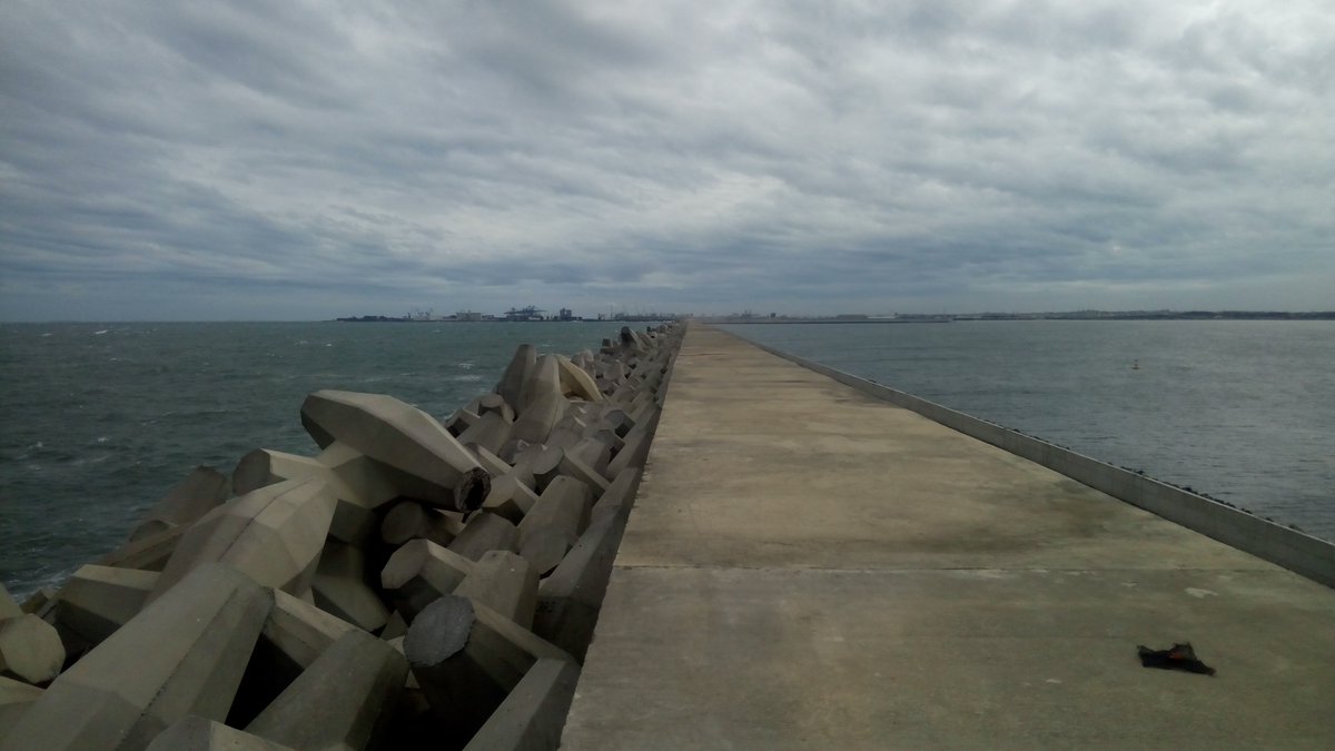 rortizes's tweet photo. Hoy la SCT entregó la obra gubernamental que había comprometido la presente administración federal sobre el Nuevo Puerto de Veracruz, con lo cual se cumple la meta de duplicar la capacidad portuaria del país. Les comparto algunas imágenes de la misma. https://t.co/NWRGMEZ6Cc