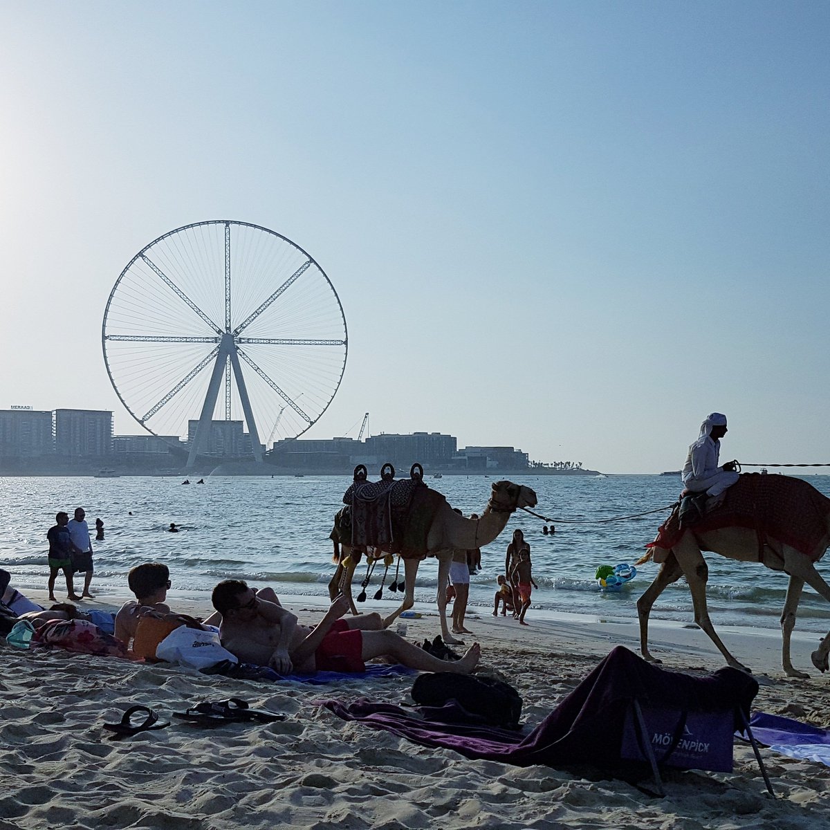vonrola's tweet photo. Up for a camel ride? #dubai #sunset #jumairahbeach #bluewaters #camelride https://t.co/hKMEIfORgy